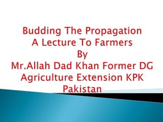 Budding A Lecture to Farmers By Mr Allah Dad Khan Former DG agriculture ...