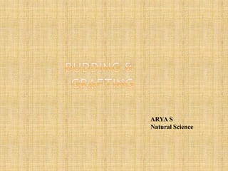 ARYA S
Natural Science
 