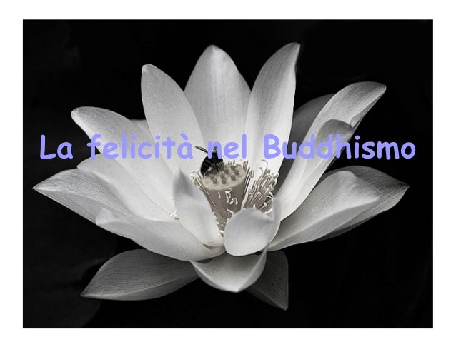 Buddismo Felicita