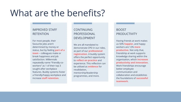 Buddy programme final presentation | PDF