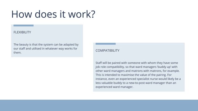 Buddy programme final presentation | PDF