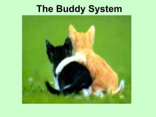 The Buddy System
 