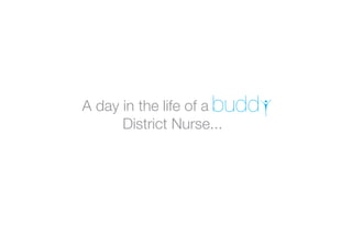 A day in the life of a BUDDY
      District Nurse...
 
