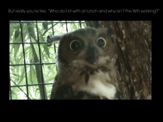 But really you’re like, “Who do I sit with at lunch and why isn’t the WiFi working?”
 