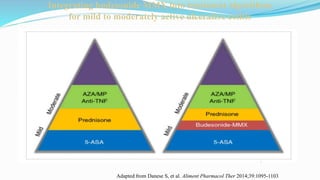 Adapted from Danese S, et al. Aliment Pharmacol Ther 2014;39:1095-1103
Integrating budesonide MMX into treatment algorithms
for mild to moderately active ulcerative colitis
 