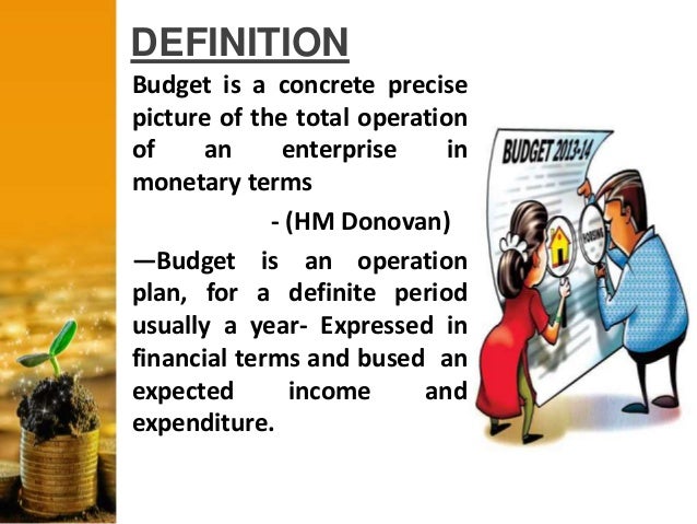 pro forma budget meaning pro forma budget meaning