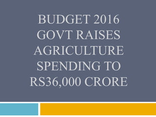 BUDGET 2016
GOVT RAISES
AGRICULTURE
SPENDING TO
RS36,000 CRORE
 