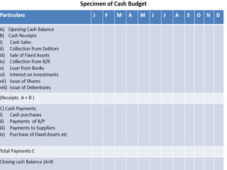 Budget and budgetary control