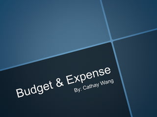 Budget and expenses