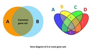 A BCommon
gene set
Venn diagram of 2 or more gene sets
A
B C D
 