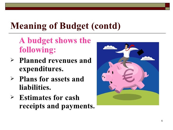 meaning budget report