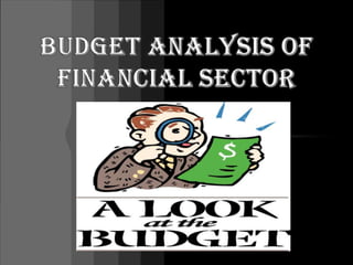 budget analysis of financial sector 