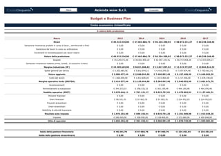 Macro 2013 2014 2015 2016 2017
Ricavi € 45.513.534,00 € 47.463.866,72 € 56.324.200,93 € 58.973.231,27 € 64.238.168,45
Variazione rimanenze prodotti in corso di lavor., semilavorati e finiti € 0,00 € 0,00 € 0,00 € 0,00 € 0,00
Variazione dei lavori in corso su ordinazione € 0,00 € 0,00 € 0,00 € 0,00 € 0,00
Incrementi di immobilizzazioni per lavori interni € 0,00 € 0,00 € 0,00 € 0,00 € 0,00
Valore della produzione € 45.513.534,00 € 47.463.866,72 € 56.324.200,93 € 58.973.231,27 € 64.238.168,45
Acquisti € 35.129.871,00 € 38.642.858,10 € 42.507.143,91 € 46.757.858,30 € 51.433.644,13
Variazioni rimanenze materie prime, sussid., di consumo e merci € 0,00 € 0,00 € 0,00 € 0,00 € 0,00
Margine industriale (M') € 10.383.663,00 € 8.821.008,62 € 13.817.057,02 € 12.215.372,97 € 12.804.524,32
Spese generali per servizi € 5.302.685,56 € 5.832.954,12 € 6.416.249,53 € 7.057.874,48 € 7.763.661,93
Valore aggiunto € 5.080.977,44 € 2.988.054,50 € 7.400.807,49 € 5.157.498,49 € 5.040.862,39
Costo del lavoro € 1.666.000,00 € 1.832.600,00 € 2.015.860,00 € 2.217.446,00 € 2.439.190,60
Margine operativo lordo (EBITDA) € 3.414.977,44 € 1.155.454,50 € 5.384.947,49 € 2.940.052,49 € 2.601.671,79
Accantonamenti € 0,00 € 0,00 € 0,00 € 0,00 € 0,00
Ammortamenti e svalutazioni € 344.333,33 € 358.333,33 € 361.190,48 € 464.190,48 € 464.190,48
Reddito operativo (EBIT) € 3.070.644,11 € 797.121,17 € 5.023.757,01 € 2.475.862,02 € 2.137.481,31
Proventi finanziari € 0,00 € 0,00 € 0,00 € 0,00 € 0,00
Oneri finanziari € 96.391,70 € 97.965,76 € 97.965,76 € 224.452,03 € 224.452,03
Proventi straordinari € 0,00 € 0,00 € 0,00 € 0,00 € 0,00
Oneri straordinari € 0,00 € 0,00 € 0,00 € 0,00 € 0,00
Rettifiche di attività finanziarie € 0,00 € 0,00 € 0,00 € 0,00 € 0,00
Risultato ante imposte € 2.974.252,40 € 699.155,41 € 4.925.791,25 € 2.251.409,98 € 1.913.029,28
Imposte € 280.000,00 € 308.000,00 € 338.800,00 € 372.680,00 € 409.948,00
Utile di esercizio € 2.694.252,40 € 391.155,41 € 4.586.991,25 € 1.878.729,98 € 1.503.081,28
Saldo della gestione finanziaria -€ 96.391,70 -€ 97.965,76 -€ 97.965,76 -€ 224.452,03 -€ 224.452,03
Saldo della gestione straordinaria € 0,00 € 0,00 € 0,00 € 0,00 € 0,00
Azienda wow S.r.l.
Budget e Business Plan
Conto economico riclassificato
A valore della produzione
Menù Cruscotto
 