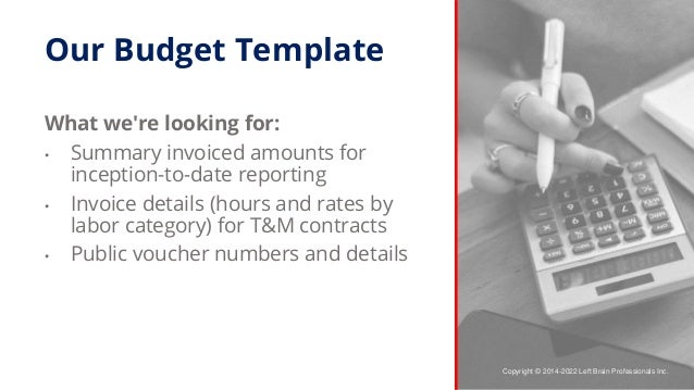 Copyright © 2014-2022 Left Brain Professionals Inc.
Our Budget Template
What we're looking for:
• Summary invoiced amounts...