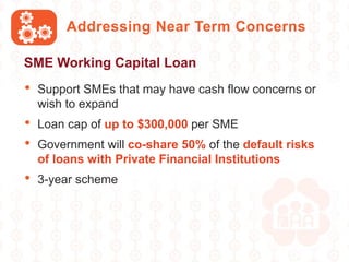 Addressing Near Term Concerns
• Support SMEs that may have cash flow concerns or
wish to expand
• Loan cap of up to $300,000 per SME
• Government will co-share 50% of the default risks
of loans with Private Financial Institutions
• 3-year scheme
SME Working Capital Loan
 