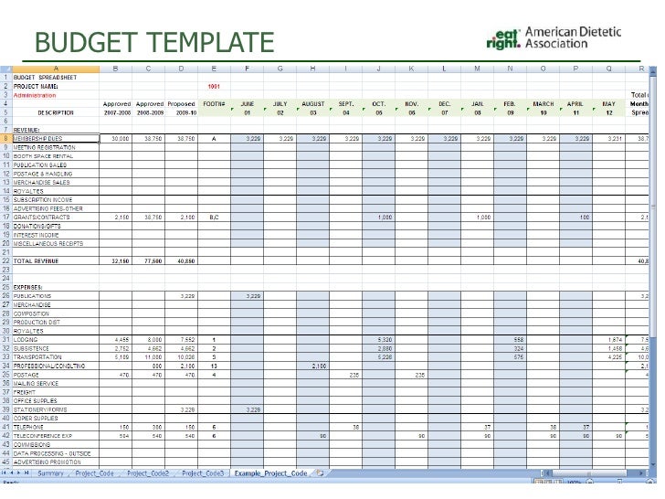 program budget template