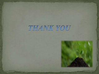 Budhhist period education ppt