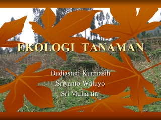 EKOLOGI TANAMAN
Budiastuti Kurniasih
Sriyanto Waluyo
Sri Muhartini
 