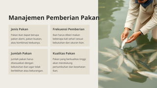 Manajemen Pemberian Pakan
Jenis Pakan
Pakan ikan dapat berupa
pakan alami, pakan buatan,
atau kombinasi keduanya.
Frekuensi Pemberian
Ikan harus diberi makan
beberapa kali sehari sesuai
kebutuhan dan ukuran ikan.
Jumlah Pakan
Jumlah pakan harus
disesuaikan dengan
kebutuhan ikan agar tidak
berlebihan atau kekurangan.
Kualitas Pakan
Pakan yang berkualitas tinggi
akan mendukung
pertumbuhan dan kesehatan
ikan.
 