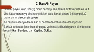 2. Ikan Air Payau
 Ikan air payau ialah ikan yg hidup di campuran antara air tawar dan air laut.
 Jika kadar garam yg dikandung dalam satu liter air antara 0,5 sampai 30
gram, air ini disebut air payau.
 Air payau biasanya ditemukan di daerah-daerah muara dekat pesisir.
 Berikut beberapa jenis ikan air payau yg banyak dibudidayakan di Indonesia
seperti Ikan Bandeng dan Kepiting Sokka.
 