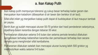 a. Ikan Kakap Putih
 Ikan kakap putih mempunyai toleransi yg cukup besar terhadap kadar garam dan
merupakan ikan katadrom (dibesarkan di air tawar dan bertelur di air laut).
 Sifat-sifat inilah yg menjadikan kakap putih dapat di budidayakan di laut maupun tambak
air payau.
 Benih ikan yg sudah mencapai ukuran 50-70 gr/ekor dari hasil pendederan selanjutnya,
dipelihara dalam karamba dengan tebaran 50 ekor.
 Pembesaran dilakukan selama 5-6 bulan dan selama periode tersebut dilakukan
pengelolaan terhadap kebersihan karamba dan pemantauan terhadap ikan secara
berkala guna menghindari sifat kanibalisme.
 Pemanenan dilakukan setelah ikan mencapai ukuran kurang lebih 500 gr/ekor yg
membutuhkan waktu selama 5-6 bulan.
 