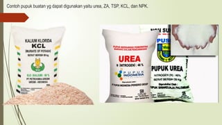 Contoh pupuk buatan yg dapat digunakan yaitu urea, ZA, TSP, KCL, dan NPK.
 