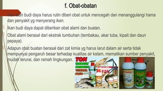f. Obat-obatan
 Ikan-ikan budi daya harus rutin diberi obat untuk mencegah dan menanggulangi hama
dan penyakit yg menyerang ikan.
 Ikan budi daya dapat diberikan obat alami dan buatan.
 Obat alami berasal dari ekstrak tumbuhan (tembakau, akar tuba, kipait dan daun
pepaya).
 Adapun obat buatan berasal dari zat kimia yg harus larut dalam air serta tidak
mempunyai pengaruh besar terhadap kualitas air kolam, mematikan sumber penyakit,
mudah terurai, dan ramah lingkungan.
 