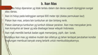 b. Ikan Mas
 Ikan mas hidup diperairan yg tidak terlalu dalam dan deras seperti dipinggiran sungai
atau danau.
 Ikan ini hidup pada ketinggian sampai 600 meter dpl (diatas permukaan laut)
 Pakan ikan mas, antara lain tumbuhan air dan bintang renik.
 Pakan utamanya tumbuhan yg tumbuh didasar perairan. Ikan mas merupakan jenis
ikan konsumsi air tawar yg ada disebagai besar wilayah Indonesia.
 Ikan mas memiliki bentuk badan agak memanjang, pipih, dan lunak.
 Budidaya ikan mas yg relative mudah dan sifatnya yg tahan terdapat perubahan kondisi
lingkungan membuat banyak orang tertarik untuk membudidayakannya.
 