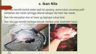 c. Ikan Nila
 Ikan nila memiliki bentuk badan pipih ke samping, warna tubuh umumnya putih
kehitaman dan merah sehingga dikenal sebagai nila hitam dan merah.
 Ikan nila merupakan ikan air tawar yg dagingya cukup lezat.
 Ikan nila juga memiliki berbagai banyak manfaat untuk kesehatan tubuh.
 