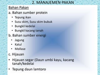 2. MANAJEMEN PAKAN
Bahan Pakan
a. Bahan sumber protein
• Tepung ikan
• Susu skim, Susu skim bubuk
• Bungkil kedelai
• Bungkil kacang tanah
b. Bahan sumber energi
• Jagung
• Katul
• Mollase
c. Hijauan
• Hijauan segar (Daun umbi kayu, kacang
tanah/kedelai
• Tepung daun lamtoro
 
