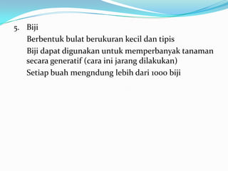5. Biji

Berbentuk bulat berukuran kecil dan tipis
Biji dapat digunakan untuk memperbanyak tanaman
secara generatif (cara ini jarang dilakukan)
Setiap buah mengndung lebih dari 1000 biji

 
