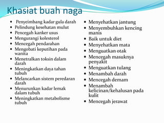 Khasiat buah naga














Penyeimbang kadar gula darah
Pelindung kesehatan mulut
Pencegah kanker usus
Mengurangi kolesterol
Mencegah pendarahan
Mengobati keputihan pada
wanita
Menetralkan toksin dalam
darah
Meningkatkan daya tahan
tubuh
Melancarkan sistem peredaran
darah
Menurunkan kadar lemak
dalam tubuh
Meningkatkan metabolisme
tubuh

 Menyehatkan jantung
 Menyembuhkan kencing










manis
Baik untuk diet
Menyehatkan mata
Menguatkan otak
Mencegah masuknya
penyakit
Menguatkan tulang
Menambah darah
Mencegah demam
Menambah
kelicinan/kehalusan pada
kulit
Mencegah jerawat

 
