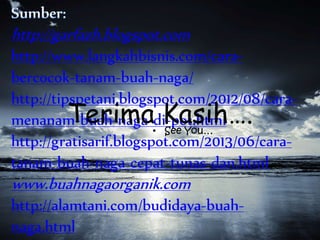 http://garfazh.blogspot.com
http://www.langkahbisnis.com/cara-
bercocok-tanam-buah-naga/
http://tipspetani.blogspot.com/2012/08/cara-
menanam-buah-naga-di-pot.html
http://gratisarif.blogspot.com/2013/06/cara-
tanam-buah-naga-cepat-tunas-dan.html
www.buahnagaorganik.com
http://alamtani.com/budidaya-buah-
naga.html
Terima Kasih….• See You…
 