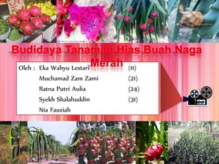 Oleh : Eka Wahyu Lestari (11)
Muchamad Zam Zami (21)
Ratna Putri Aulia (24)
Syekh Shalahuddin (31)
Nia Fauziah
 
