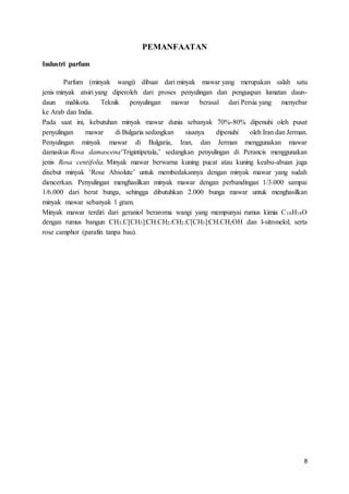 8
PEMANFAATAN
Industri parfum
Parfum (minyak wangi) dibuat dari minyak mawar yang merupakan salah satu
jenis minyak atsiri yang diperoleh dari proses penyulingan dan penguapan lumatan daun-
daun mahkota. Teknik penyulingan mawar berasal dari Persia yang menyebar
ke Arab dan India.
Pada saat ini, kebutuhan minyak mawar dunia sebanyak 70%-80% dipenuhi oleh pusat
penyulingan mawar di Bulgaria sedangkan sisanya dipenuhi oleh Iran dan Jerman.
Penyulingan minyak mawar di Bulgaria, Iran, dan Jerman menggunakan mawar
damaskus Rosa damascena‘Trigintipetala,’ sedangkan penyulingan di Perancis menggunakan
jenis Rosa centifolia. Minyak mawar berwarna kuning pucat atau kuning keabu-abuan juga
disebut minyak ‘Rose Absolute’ untuk membedakannya dengan minyak mawar yang sudah
diencerkan. Penyulingan menghasilkan minyak mawar dengan perbandingan 1/3.000 sampai
1/6.000 dari berat bunga, sehingga dibutuhkan 2.000 bunga mawar untuk menghasilkan
minyak mawar sebanyak 1 gram.
Minyak mawar terdiri dari geraniol beraroma wangi yang mempunyai rumus kimia C10H18O
dengan rumus bangun CH3.C[CH3]:CH.CH2.CH2.C[CH3]:CH.CH2OH dan l-sitronelol; serta
rose camphor (parafin tanpa bau).
 