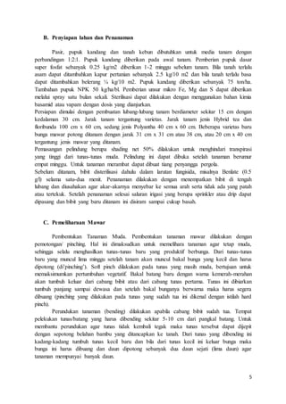 5
B. Penyiapan lahan dan Penanaman
Pasir, pupuk kandang dan tanah kebun dibutuhkan untuk media tanam dengan
perbandingan 1:2:1. Pupuk kandang diberikan pada awal tanam. Pemberian pupuk dasar
super fosfat sebanyak 0.25 kg/m2 diberikan 1-2 minggu sebelum tanam. Bila tanah terlalu
asam dapat ditambahkan kapur pertanian sebanyak 2.5 kg/10 m2 dan bila tanah terlalu basa
dapat ditambahkan belerang ¼ kg/10 m2. Pupuk kandang diberikan sebanyak 75 ton/ha.
Tambahan pupuk NPK 50 kg/ha/bl. Pemberian unsur mikro Fe, Mg dan S dapat diberikan
melalui spray satu bulan sekali. Sterilisasi dapat dilakukan dengan menggunakan bahan kimia
basamid atau vapam dengan dosis yang dianjurkan.
Persiapan dimulai dengan pembuatan lubang-lubang tanam berdiameter sekitar 15 cm dengan
kedalaman 30 cm. Jarak tanam tergantung varietas. Jarak tanam jenis Hybrid tea dan
floribunda 100 cm x 60 cm, sedang jenis Polyantha 40 cm x 60 cm. Beberapa varietas baru
bunga mawar potong ditanam dengan jarak 31 cm x 31 cm atau 38 cm, atau 20 cm x 40 cm
tergantung jenis mawar yang ditanam.
Pemasangan pelindung berupa shading net 50% dilakukan untuk menghindari transpirasi
yang tinggi dari tunas-tunas muda. Pelindung ini dapat dibuka setelah tanaman berumur
empat minggu. Untuk tanaman merambat dapat dibuat tiang penyangga pergola.
Sebelum ditanam, bibit disterilisasi dahulu dalam larutan fungisida, misalnya Benlate (0.5
g/l) selama satu-dua menit. Penanaman dilakukan dengan menempatkan bibit di tengah
lubang dan diusahakan agar akar-akarnya menyebar ke semua arah serta tidak ada yang patah
atau tertekuk. Setelah penanaman selesai saluran irigasi yang berupa sprinkler atau drip dapat
dipasang dan bibit yang baru ditanam ini disiram sampai cukup basah.
C. Pemeliharaan Mawar
Pembentukan Tanaman Muda. Pembentukan tanaman mawar dilakukan dengan
pemotongan/ pinching. Hal ini dimaksudkan untuk memelihara tanaman agar tetap muda,
sehingga selalu menghasilkan tunas-tunas baru yang produktif berbunga. Dari tunas-tunas
baru yang muncul lima minggu setelah tanam akan muncul bakal bunga yang kecil dan harus
dipotong (di’pinching’). Soft pinch dilakukan pada tunas yang masih muda, bertujuan untuk
memaksimumkan pertumbuhan vegetatif. Bakal batang baru dengan warna kemerah-merahan
akan tumbuh keluar dari cabang bibit atau dari cabang tunas pertama. Tunas ini dibiarkan
tumbuh panjang sampai dewasa dan setelah bakal bunganya berwarna maka harus segera
dibuang (pinching yang dilakukan pada tunas yang sudah tua ini dikenal dengan istilah hard
pinch).
Perundukan tanaman (bending) dilakukan apabila cabang bibit sudah tua. Tempat
pelekukan tunas/batang yang harus dibending sekitar 5-10 cm dari pangkal batang. Untuk
membantu perundukan agar tunas tidak kembali tegak maka tunas tersebut dapat dijepit
dengan sepotong belahan bambu yang ditancapkan ke tanah. Dari tunas yang dibending ini
kadang-kadang tumbuh tunas kecil baru dan bila dari tunas kecil ini keluar bunga maka
bunga ini harus dibuang dan daun dipotong sebanyak dua daun sejati (lima daun) agar
tanaman mempunyai banyak daun.
 