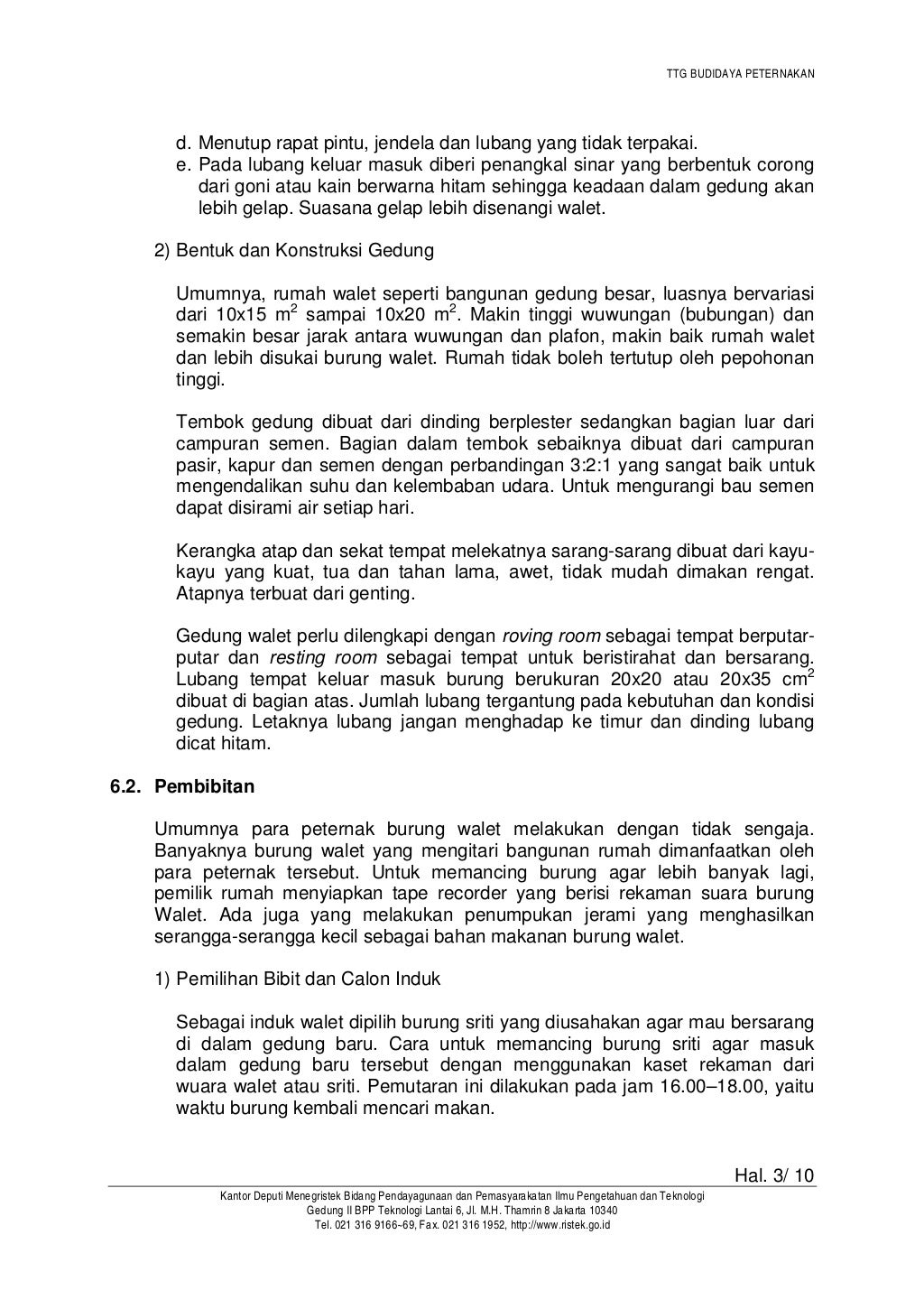 Budidaya burung walet