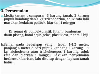 3. Persemaian
a.Media tanam : campuran 3 karung tanah, 2 karung
pupuk kandang dan 1 kg Trichoderma, aduk rata lalu
masukan kedalam polibek, biarkan 1 minggu
Di semai di polibek(plastik hitam, bunbunan
daun pisang, botol aqua gelas, plastik es), tanam 2 biji
b.Semai pada bedengan yang lebar 1-1,2 meter,
panjang 4 meter diberi pupuk kandang 2 karung + 1
kg trichoderma atau trichokompos 1 karung, aduk
rata dan biarkan 1 minggu. Lakukan penyemaian
berbentuk barisan, lalu ditutup dengan lapisan tanah
halus.
 