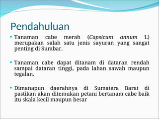 Pendahuluan
 Tanaman cabe merah (Capsicum annum L)
merupakan salah satu jenis sayuran yang sangat
penting di Sumbar.
 Tanaman cabe dapat ditanam di dataran rendah
sampai dataran tinggi, pada lahan sawah maupun
tegalan.
 Dimanapun daerahnya di Sumatera Barat di
pastikan akan ditemukan petani bertanam cabe baik
itu skala kecil maupun besar
 