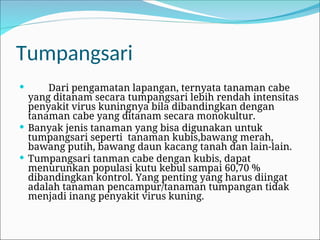 Tumpangsari
 Dari pengamatan lapangan, ternyata tanaman cabe
yang ditanam secara tumpangsari lebih rendah intensitas
penyakit virus kuningnya bila dibandingkan dengan
tanaman cabe yang ditanam secara monokultur.
 Banyak jenis tanaman yang bisa digunakan untuk
tumpangsari seperti tanaman kubis,bawang merah,
bawang putih, bawang daun kacang tanah dan lain-lain.
 Tumpangsari tanman cabe dengan kubis, dapat
menurunkan populasi kutu kebul sampai 60,70 %
dibandingkan kontrol. Yang penting yang harus diingat
adalah tanaman pencampur/tanaman tumpangan tidak
menjadi inang penyakit virus kuning.
 