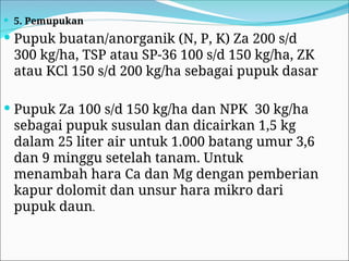  5. Pemupukan
 Pupuk buatan/anorganik (N, P, K) Za 200 s/d
300 kg/ha, TSP atau SP-36 100 s/d 150 kg/ha, ZK
atau KCl 150 s/d 200 kg/ha sebagai pupuk dasar
 Pupuk Za 100 s/d 150 kg/ha dan NPK 30 kg/ha
sebagai pupuk susulan dan dicairkan 1,5 kg
dalam 25 liter air untuk 1.000 batang umur 3,6
dan 9 minggu setelah tanam. Untuk
menambah hara Ca dan Mg dengan pemberian
kapur dolomit dan unsur hara mikro dari
pupuk daun.
 