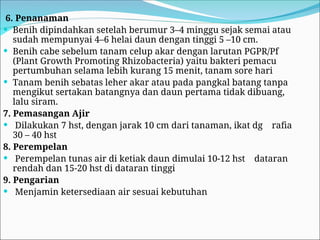 6. Penanaman
 Benih dipindahkan setelah berumur 3–4 minggu sejak semai atau
sudah mempunyai 4–6 helai daun dengan tinggi 5 –10 cm.
 Benih cabe sebelum tanam celup akar dengan larutan PGPR/Pf
(Plant Growth Promoting Rhizobacteria) yaitu bakteri pemacu
pertumbuhan selama lebih kurang 15 menit, tanam sore hari
 Tanam benih sebatas leher akar atau pada pangkal batang tanpa
mengikut sertakan batangnya dan daun pertama tidak dibuang,
lalu siram.
7. Pemasangan Ajir
 Dilakukan 7 hst, dengan jarak 10 cm dari tanaman, ikat dg rafia
30 – 40 hst
8. Perempelan
 Perempelan tunas air di ketiak daun dimulai 10-12 hst dataran
rendah dan 15-20 hst di dataran tinggi
9. Pengarian
 Menjamin ketersediaan air sesuai kebutuhan
 