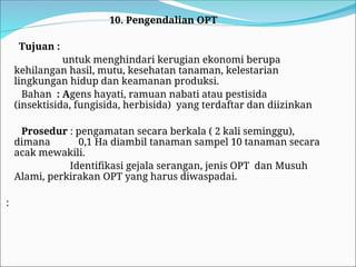 10. Pengendalian OPT
Tujuan :
untuk menghindari kerugian ekonomi berupa
kehilangan hasil, mutu, kesehatan tanaman, kelestarian
lingkungan hidup dan keamanan produksi.
Bahan : Agens hayati, ramuan nabati atau pestisida
(insektisida, fungisida, herbisida) yang terdaftar dan diizinkan
Prosedur : pengamatan secara berkala ( 2 kali seminggu),
dimana 0,1 Ha diambil tanaman sampel 10 tanaman secara
acak mewakili.
Identifikasi gejala serangan, jenis OPT dan Musuh
Alami, perkirakan OPT yang harus diwaspadai.
:
 