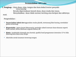 Permasalahan OPT Cabe
1. Pengisap : Kutu daun, trips, tungau dan kutu kebul (vector penyakit
virus kuning
Berada dipermukaan bawah daun, daun muda dan tunas.
Menyebabkan daun tidak normal, keriting atau keriput dan akhirnya
mati.
Pengendalian :
 Secara kultur teknis (menggunakan mulsa plastik, memasang likat kuning, membakar
gulma terserang)
 Biopestisida : Agens hayati (Beauveria), pestisida nabati (ramuan daun-daunan seperti
daun surian), Roma (Ramuan organik Hama), dll
 Kimia : insektisida (sistemik atau kontak, apabila hasil pengamatan intensitas 15 % ) bila
diserang kutu daun atau thrips
 Akarisida untuk tanaman terserang tungau
 
