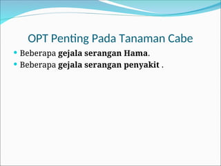 OPT Penting Pada Tanaman Cabe
 Beberapa gejala serangan Hama.
 Beberapa gejala serangan penyakit .
 