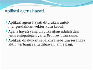 Aplikasi agens hayati.
 Aplikasi agens hayati ditujukan untuk
mengendalikan vektor kutu kebul.
 Agens hayati yang diaplikasikan adalah dari
jenis entopatogen yaitu Beauveria bassiana.
 Aplikasi dilakukan sebaiknya sebelum serangga
aktif terbang yaitu dibawah jam 8 pagi.
 
