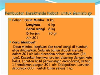 Pembuatan Insektisida Nabati Untuk Bemisia sp
 Bahan : Daun Mimba 8 kg
Lengkuas 6 kg
Serai wangi 6 kg
Diterjen 20 gr
Air 20 l
 Cara Membuat :
Daun mimba, lengkuas dan serai wangi di tumbuk
atau dihaluskan. Seluruh bahan diaduk merata
dalam 20 l air lalu direndam sehari semalam (24
jam). Keesokan harinya larutan disaring dengan kain
halus. Larutan hasil penyaringan diencerkan, setiap
1 l rendaman dengan 30 l air. Didapatkan Larutan
sebanyak 600 l untuk lahan seluas 1 ha.
 