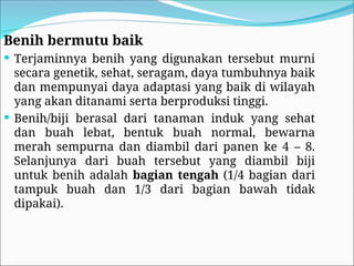 Benih bermutu baik
 Terjaminnya benih yang digunakan tersebut murni
secara genetik, sehat, seragam, daya tumbuhnya baik
dan mempunyai daya adaptasi yang baik di wilayah
yang akan ditanami serta berproduksi tinggi.
 Benih/biji berasal dari tanaman induk yang sehat
dan buah lebat, bentuk buah normal, bewarna
merah sempurna dan diambil dari panen ke 4 – 8.
Selanjunya dari buah tersebut yang diambil biji
untuk benih adalah bagian tengah (1/4 bagian dari
tampuk buah dan 1/3 dari bagian bawah tidak
dipakai).
 