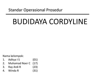 BUDIDAYA CORDYLINE
Standar Operasional Prosedur
Nama kelompok:
1. Aditya I S (01)
2. Muhamad Noer C (17)
3. Ray Ardi R (23)
4. Winda R (31)
 