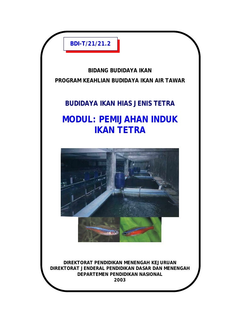 Budidaya Tetra